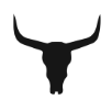 Custom Branding