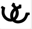Custom Branding