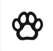 Custom Branding